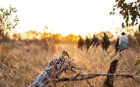 Simbavati Trails Camp
